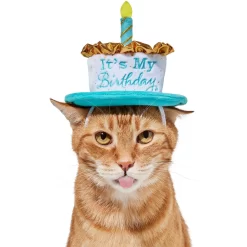 Frisco It's My Birthday Dog & Cat Hat -Frisco Shop 315142 PT3. AC SS1800 V1646437287
