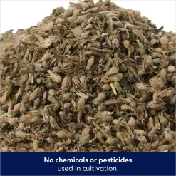 Frisco Natural Catnip -Frisco Shop 316067 PT2. AC SS1800 V1683132284