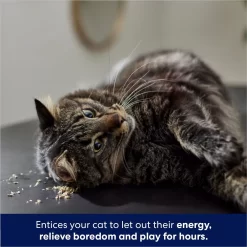 Frisco Natural Catnip -Frisco Shop 316067 PT3. AC SS1800 V1683132277