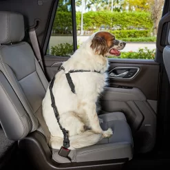 Frisco Adjustable Dog Seatbelt Tether & Frisco Quilted Water Resistant Bench Car Seat Cover -Frisco Shop 318966 PT3. AC SS1800 V1630360879