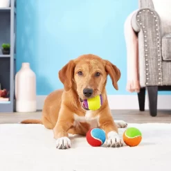 Frisco Fetch Squeaking Colorful Tennis Ball Dog Toy & Playology Scented Dual Layer Bone Dog Toy 12 Frisco Fetch Squeaking Colorful Tennis Ball Dog Toy & Playology Scented Dual Layer Bone Dog Toy -Frisco Shop 319022 PT3. AC SS1800 V1630552585