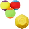 Frisco Fetch Squeaking Colorful Tennis Ball Dog Toy & Project Hive Pet Company Ball Dog Toy
