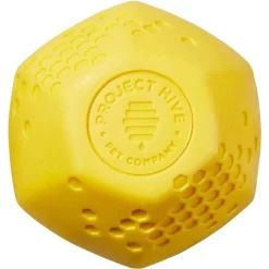 Frisco Fetch Squeaking Colorful Tennis Ball Dog Toy & Project Hive Pet Company Ball Dog Toy -Frisco Shop 319024 PT4. AC SS1800 V1630553814