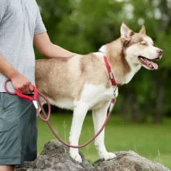 Frisco Outdoor Comfort Print Nylon Padded Dog Collar & Frisco Outdoor Ultra Reflective Rope Leash With Padded Handle -Frisco Shop 319066 PT8. AC SS1800 V1631141510