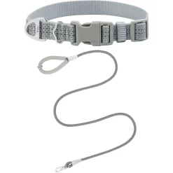 Frisco Outdoor Ultra Reflective Nylon Dog Collar & Frisco Outdoor Ultra Reflective Rope Leash With Padded Handle
