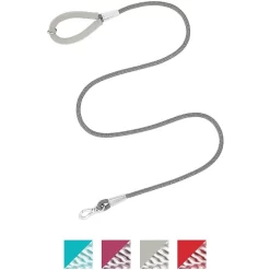 Frisco Outdoor Ultra Reflective Nylon Dog Collar & Frisco Outdoor Ultra Reflective Rope Leash With Padded Handle -Frisco Shop 319102 PT5. AC SS1800 V1631149585