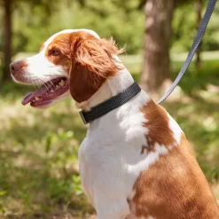 Frisco Outdoor Heathered Nylon Collar & Frisco Outdoor Heathered Nylon Leash -Frisco Shop 319124 PT4. AC SS1800 V1631153486