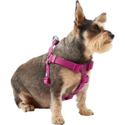 Frisco Outdoor Solid Textured Waterproof Stink Proof PVC Dog Harness & Frisco Outdoor Solid Textured Waterproof Stink Proof PVC Dog Leash -Frisco Shop 319356 PT2. AC SS1800 V1631150788
