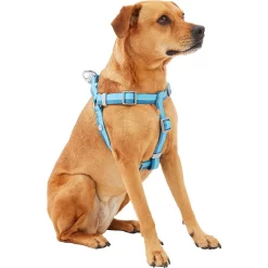 Frisco Outdoor Two Tone Waterproof Stinkproof PVC Dog Harness & Frisco Outdoor Two Tone Waterproof Stinkproof PVC Dog Harness 8 Frisco Outdoor Two Tone Waterproof Stinkproof PVC Dog Harness & Frisco Outdoor Two Tone Waterproof Stinkproof PVC Dog Harness -Frisco Shop 319396 PT2. AC SS1800 V1630624884