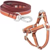 Frisco Outdoor Two Toned Waterproof Stink Proof PVC Dog Leash & Frisco Outdoor Two Tone Waterproof Stinkproof PVC Dog Harness
