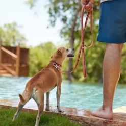 Frisco Outdoor Two Toned Waterproof Stink Proof PVC Dog Leash & Frisco Outdoor Two Tone Waterproof Stinkproof PVC Dog Harness -Frisco Shop 319448 PT3. AC SS1800 V1631149877