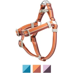 Frisco Outdoor Two Toned Waterproof Stink Proof PVC Dog Leash & Frisco Outdoor Two Tone Waterproof Stinkproof PVC Dog Harness -Frisco Shop 319448 PT4. AC SS1800 V1631154390