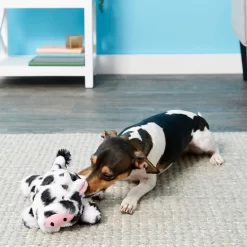 Frisco Cow Plush Squeaky Dog Toy & Playology Scented Dual Layer Ring Dog Toy -Frisco Shop 319488 PT3. AC SS1800 V1630626696