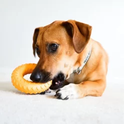 Frisco Cow Plush Squeaky Dog Toy & Playology Scented Dual Layer Ring Dog Toy -Frisco Shop 319488 PT8. AC SS1800 V1630625808