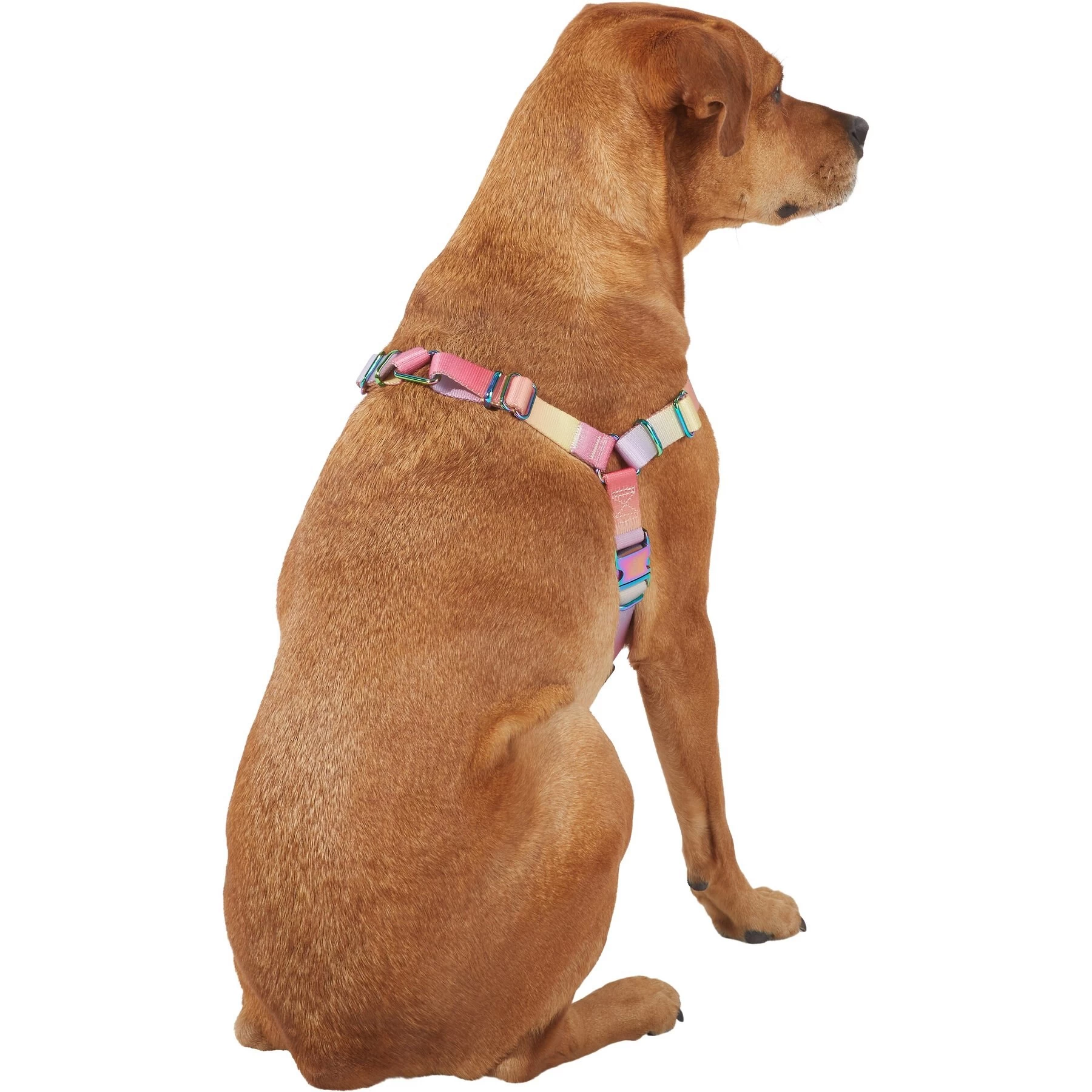 Frisco Pink Ombre Style Dog Harness 4 Frisco Pink Ombre Style Dog Harness - Image 4