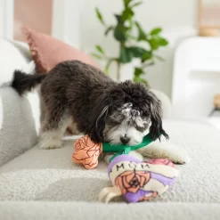 Frisco Mother's Day Rose & Heart Plush Squeaky Dog Toy, 2 Count -Frisco Shop 327033 PT3. AC SS1800 V1646947953