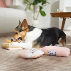 Frisco Mother's Day Gifts Plush Squeaky Dog Toy, 3 Count -Frisco Shop 327035 PT3. AC SS1800 V1646947993