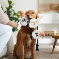 Frisco Mother's Day Gnomes Plush With Rope Squeaky Dog Toy -Frisco Shop 327037 PT3. AC SS1800 V1646948102