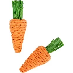 Frisco Carrot Small Pet Chew Toy
