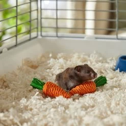 Frisco Carrot Small Pet Chew Toy -Frisco Shop 330867 PT2. AC SS1800 V1659546417