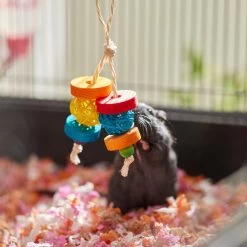 Frisco Dangly Wooden Small Pet Chew Toy -Frisco Shop 330871 PT3. AC SS1800 V1647530133