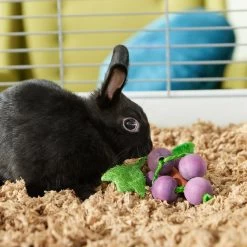 Frisco Wooden Grape Vine Small Pet Chew Toy -Frisco Shop 330881 PT2. AC SS1800 V1659546416