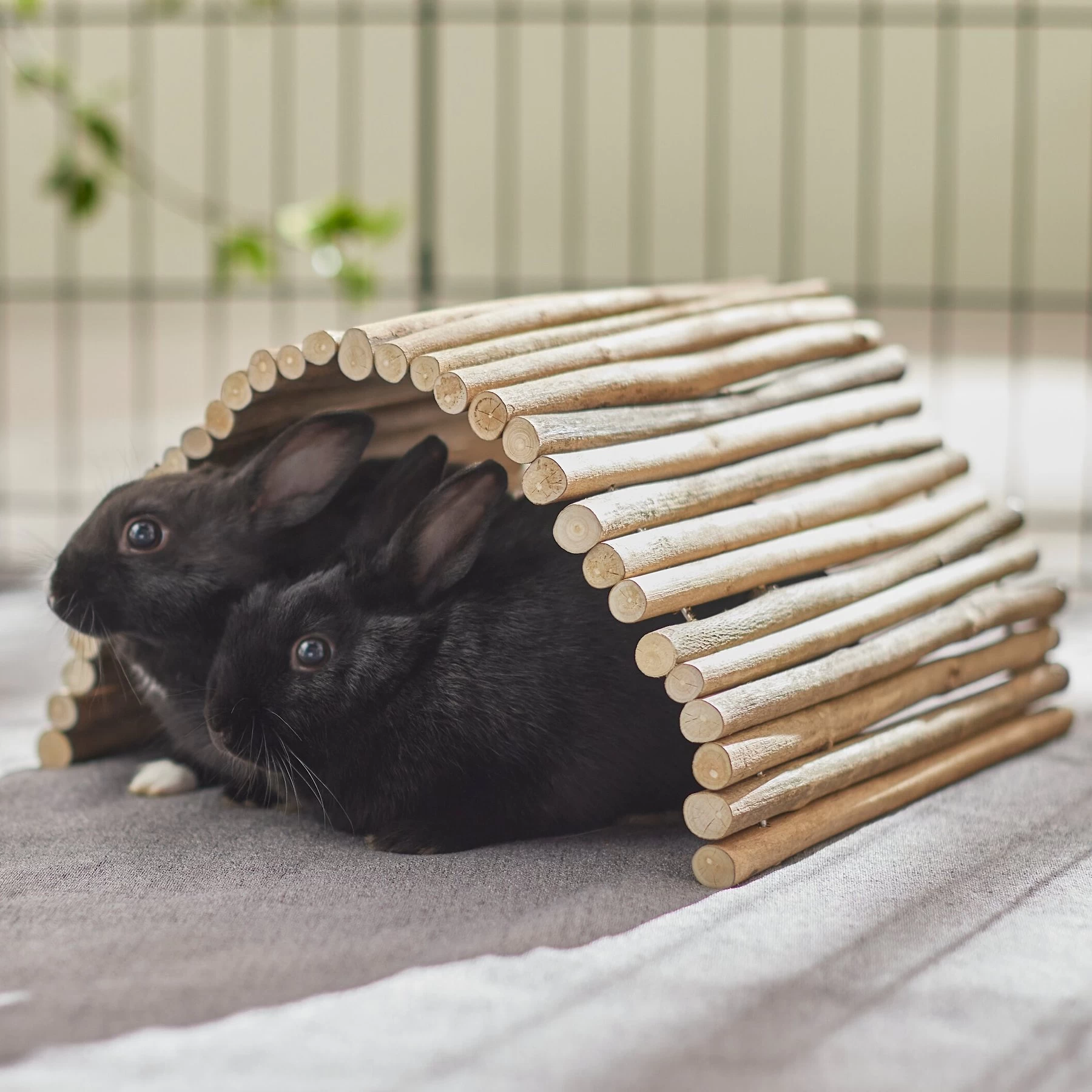 Frisco Wooden Bridge Small Pet Hideout 5 Frisco Wooden Bridge Small Pet Hideout - Image 5