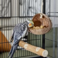 Frisco Coconut Bird Feeder -Frisco Shop 331450 PT3. AC SS1800 V1660703570