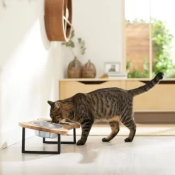 Frisco Premium Wood Elevated Bone Shape Stainless Steel Double Diner Dog & Cat Bowl, 3 Cup 9 Frisco Premium Wood Elevated Bone Shape Stainless Steel Double Diner Dog & Cat Bowl, 3 Cup -Frisco Shop 331497 PT3. AC SS1800 V1657656892