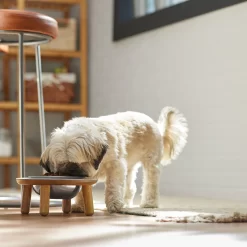 Frisco Premium Round Shape Elevated Single Dog & Cat Bowl -Frisco Shop 331502 PT2. AC SS1800 V1657656893