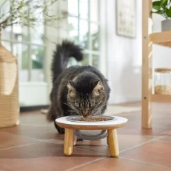 Frisco Premium Round Shape Elevated Single Dog & Cat Bowl -Frisco Shop 331502 PT3. AC SS1800 V1657656892