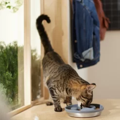 Frisco Silicone Stainless Paw Steel Slow Feeder Dog & Cat Bowl -Frisco Shop 331528 PT3. AC SS1800 V1657656874