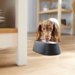 Frisco Long Eared Breed Stainless Steel Dog Bowl, Black, 2 Cup -Frisco Shop 331530 PT2. AC SS1800 V1657656874