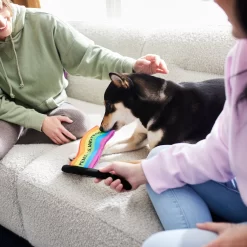 Frisco Pride Flag Flat Squeaky Dog Toy -Frisco Shop 331640 PT3. AC SS1800 V1647355852