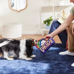 Frisco Pride Rainbow Plush With Rope Squeaky Dog Toy -Frisco Shop 331653 PT3. AC SS1800 V1647356026