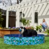 Frisco Outdoor Dog Swimming Pool, Flamingo