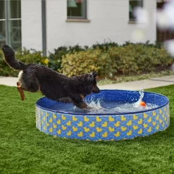 Frisco Outdoor Dog Swimming Pool, Rubber Ducky