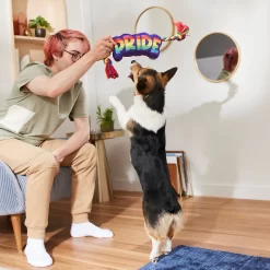 Frisco Pride Plush With Rope Squeaky Dog Toy 5 Frisco Pride Plush With Rope Squeaky Dog Toy -Frisco Shop 331661 PT3. AC SS1800 V1647356002