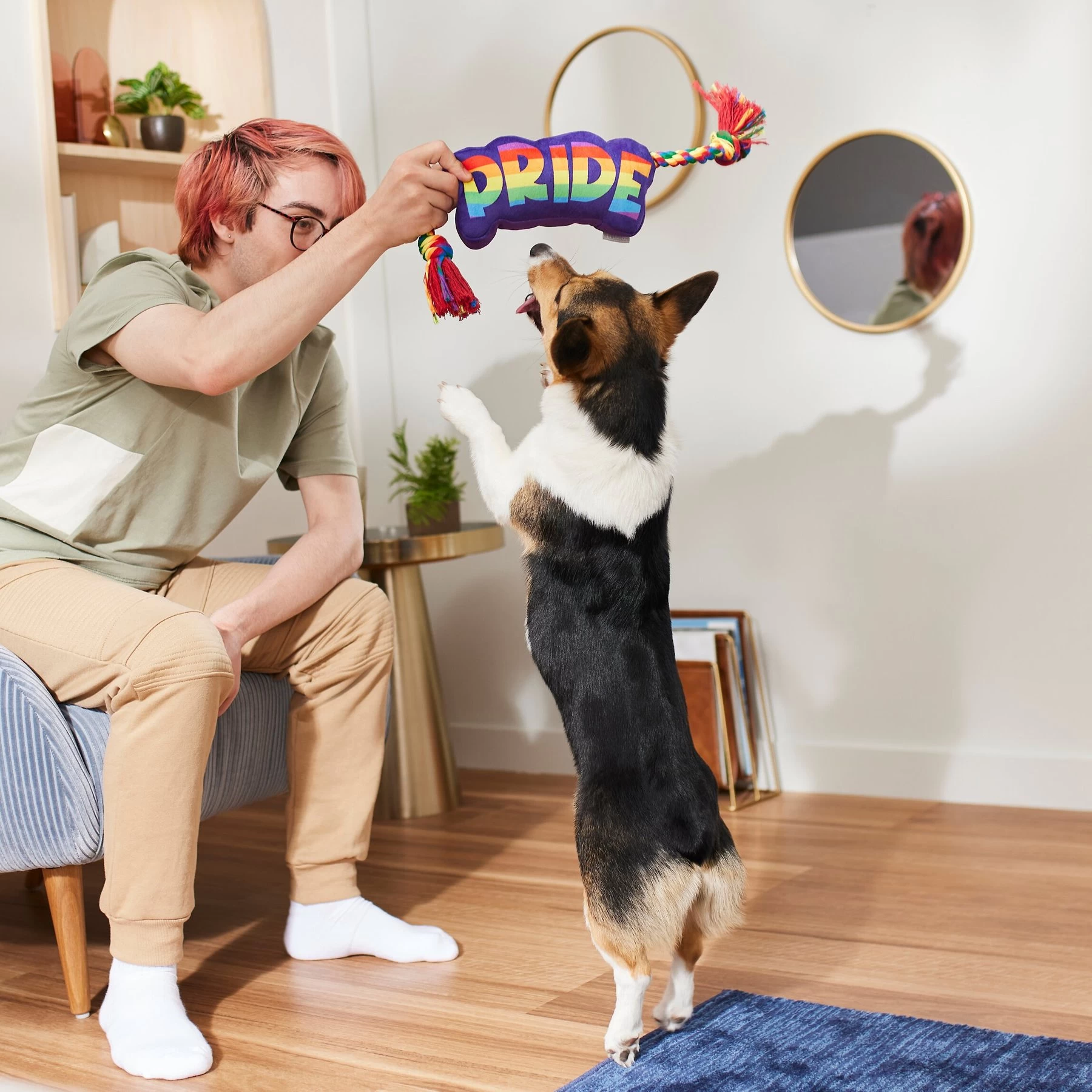 Frisco Pride Plush With Rope Squeaky Dog Toy 3 Frisco Pride Plush With Rope Squeaky Dog Toy - Image 3