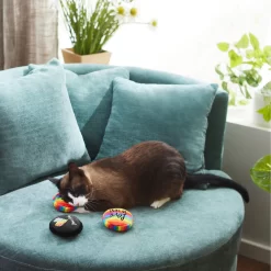 Frisco Pride Buttons Plush Cat Toy With Catnip, 3 Count -Frisco Shop 331688 PT3. AC SS1800 V1647355746