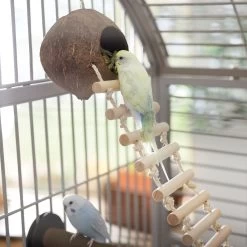 Frisco Up The Ladder Coco Bird Hut -Frisco Shop 331723 PT3. AC SS1800 V1660703304