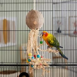 Frisco Coco Loco Bird Toy 7 Frisco Coco Loco Bird Toy -Frisco Shop 331741 PT3. AC SS1800 V1660703305