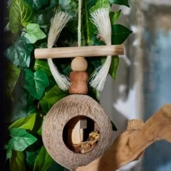 Frisco Coco Swing With Me Bird Toy 9 Frisco Coco Swing With Me Bird Toy -Frisco Shop 331743 PT4. AC SS1800 V1660703304