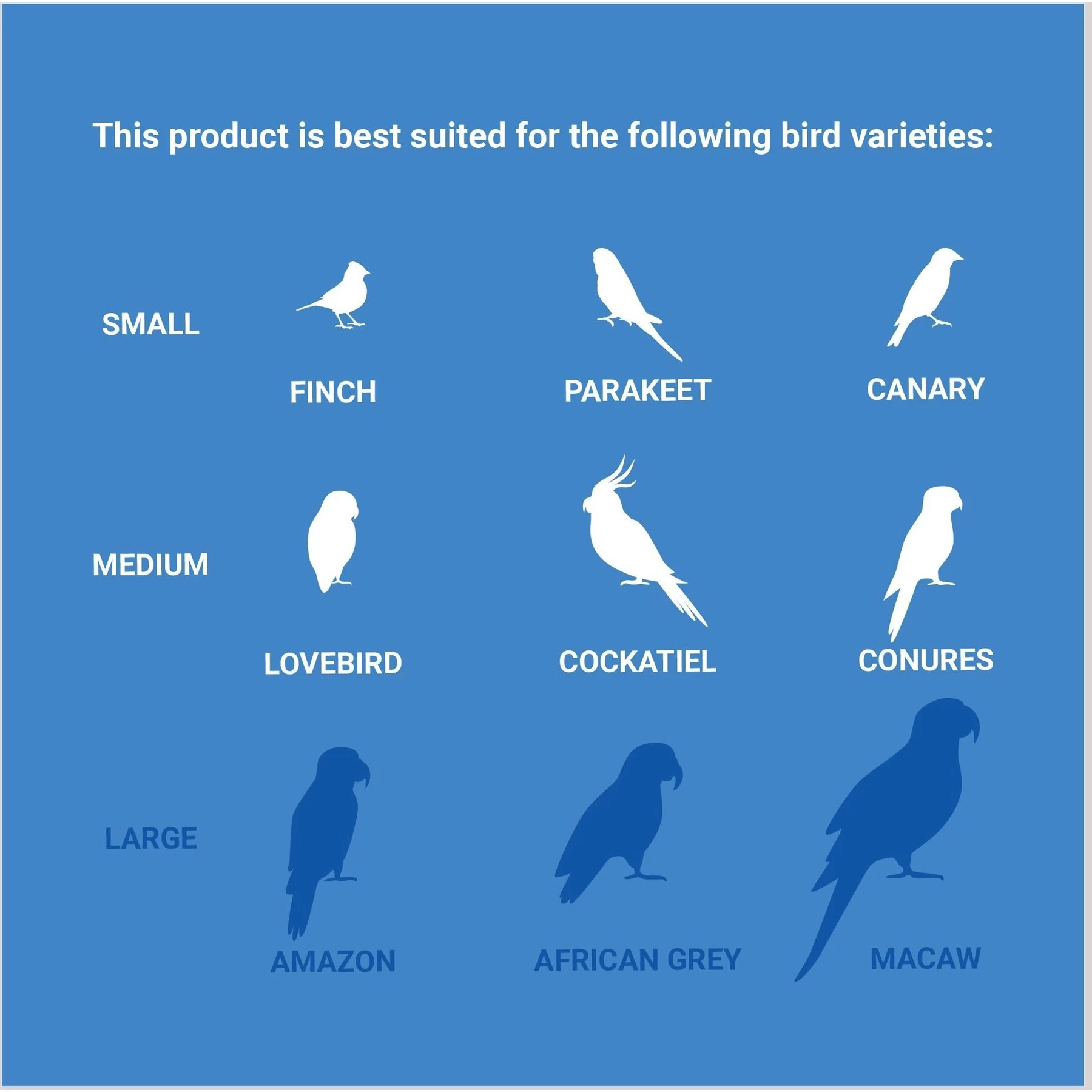 Frisco Coco Swing With Me Bird Toy 5 Frisco Coco Swing With Me Bird Toy - Image 5