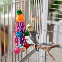 Frisco Entertainment Bundle Bird Toy -Frisco Shop 331747 PT3. AC SS1800 V1660703304