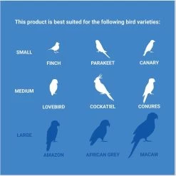 Frisco Entertainment Bundle Bird Toy -Frisco Shop 331747 PT4. AC SS1800 V1661200356