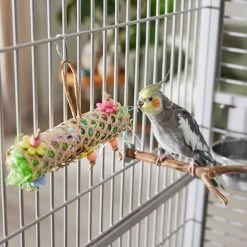 Frisco Flower Net Bird Foraging Toy -Frisco Shop 331751 PT3. AC SS1800 V1660703304