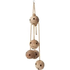 Frisco Holey-Moley Coconut Foraging Bird Toy