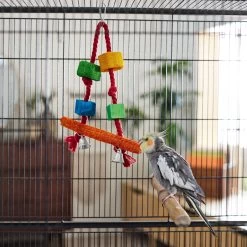 Frisco Loofah Swing Bird Toy -Frisco Shop 331771 PT3. AC SS1800 V1660703304