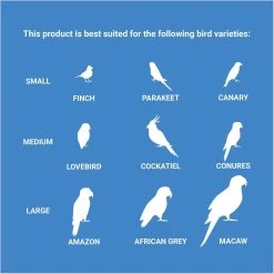 Frisco Twisted Fun Bird Toy -Frisco Shop 331787 PT4. AC SS1800 V1661200356